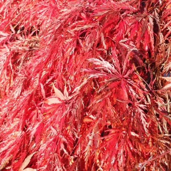 Meet your Posher, Mary - Picture 4 of 5